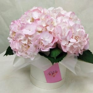 Шляпная коробка с цветами «Розовая гортензия в коробке»