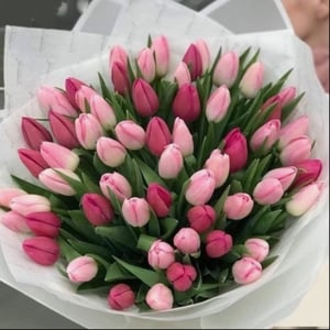 Букет тюльпанов 67 шт