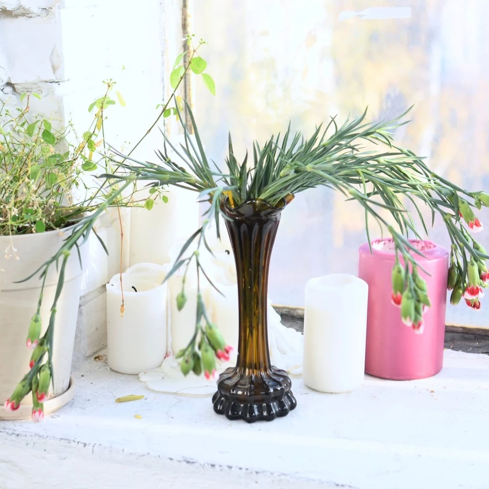 Mother's Day plant on a bright windowsill — care tips for longer-lasting blooms