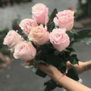 Букет 255 из роз