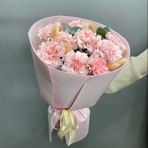 Букет 9 гвоздик "Нежное прикосновение"