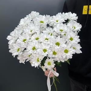 Букет из ромашковых хризантем под ленту