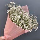 Букет «Облако» из гипсофил