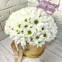 Шляпная коробка с цветами «Ромашки для мамы» из хризантем