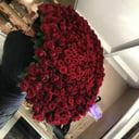 Букет 301 роза