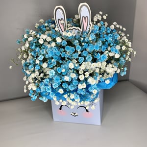 Коробка с цветами «Композиция из гипсофилы "Зайка"»