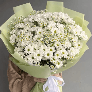 Ромашка букет