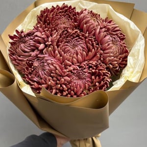 Букет «Хризантема бигуди»