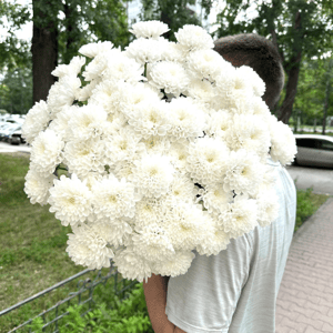 Букет «Хризантема белая 9 шт»