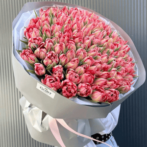 Букет из 101 тюльпана пионовидные