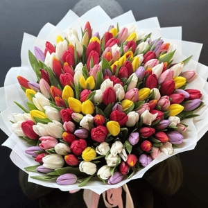 Букет из тюльпанов "Микс" 101шт.