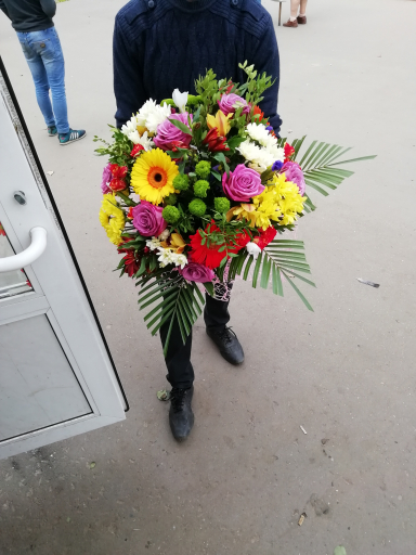 Ромашка