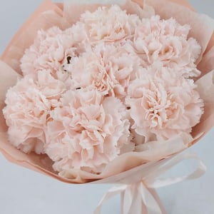 Букет «Кремовые диантусы 7» из гвоздик