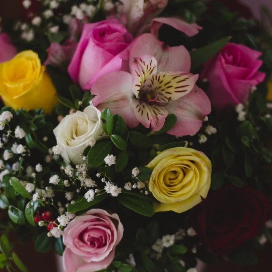 Entretien fleurs Nice