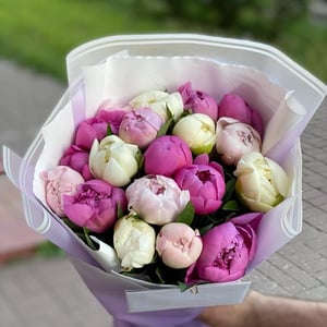 19 пионов микс