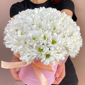 Шляпная коробка с цветами «Цветы в коробке "Ромашки"» из хризантем