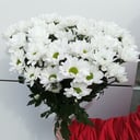 Букет «Облако желаний» из хризантем