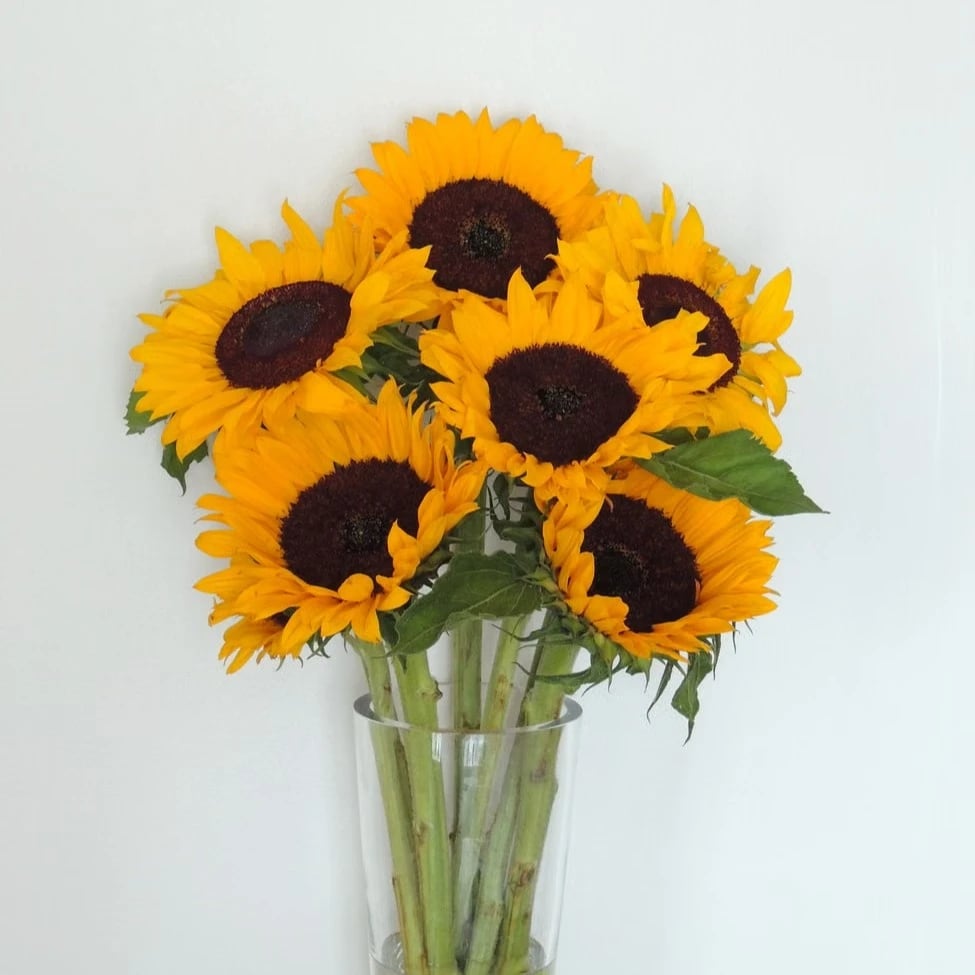 Sunflower bouquet Colorado Springs