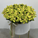 Шляпная коробка с цветами «Зеленые орхидеи в большой коробочке.»