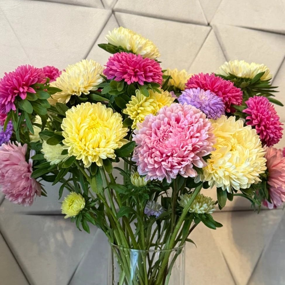 Fresh flowers Dutch bouquet