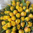 Букет «тюльпаны»