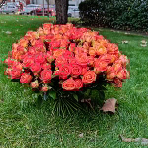 Букет «51 кустовая роза»