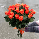 Букет 137 из 25 эквадорских роз