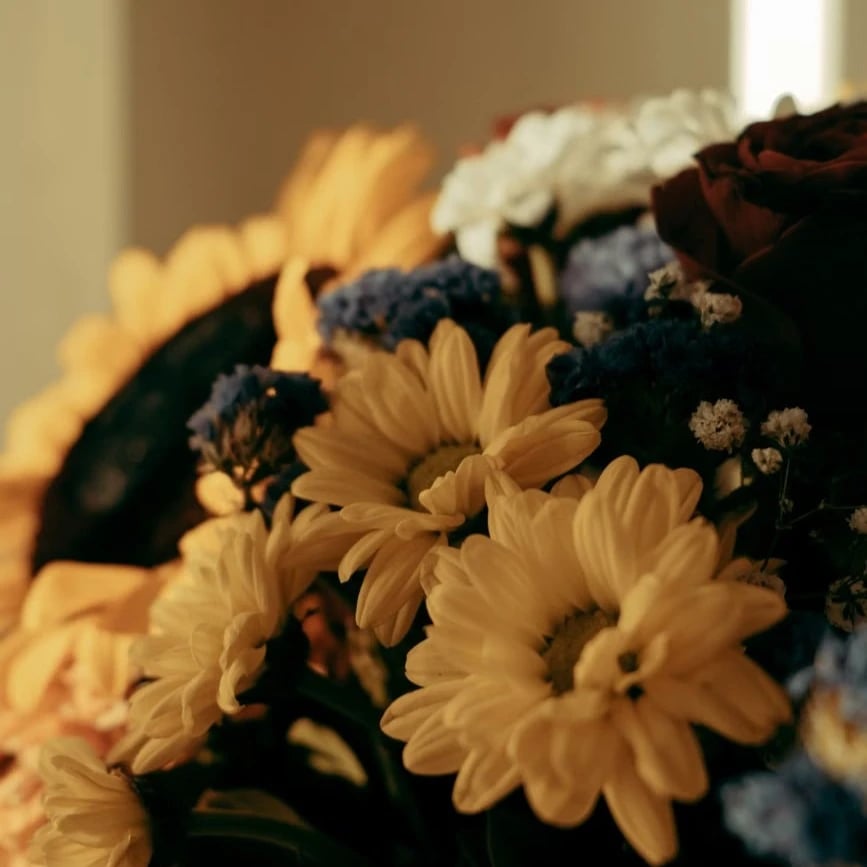 Flowers in Dubai Al Quoz