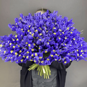 Большой букет из 101 ириса