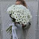 Букет «Хризантема кустовая 25шт»