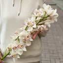 Букет «Весеннее чувство» из орхидей