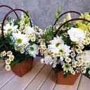 Летняя полянка из хризантем