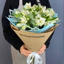 Букет из 9 белых альстромерий