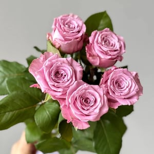 Букет «Сиреневые розы Маритим 5шт»