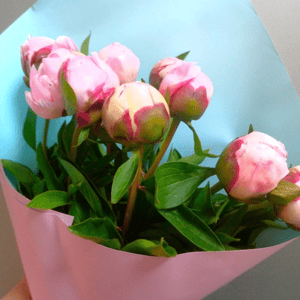 Букет из 9 пионов из роз