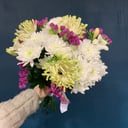 Букет «Гербера кудрявая»