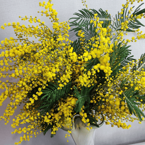 Букет «Мимоза»