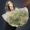 Букет из 15 белых гипсофил