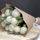 Букет из 11 белых пионов с эвкалиптом