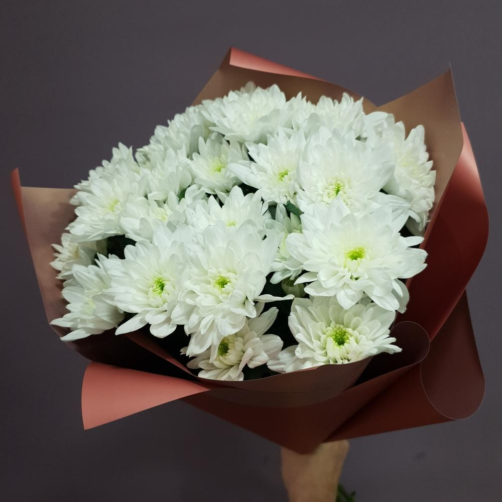 Букет «Незатейливые 5 кустовых хризантем»