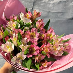 Букет «Альстромерии»