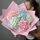 Букет «Гортензии»