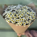 Ромашка, букет из кустовой хризантемы