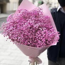 Букет «Искры» из гипсофил