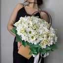 Коробка с цветами «Сумочка с ромашками и кустовой хризантем»