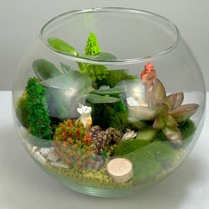 Флорариум "Волшебная Поляна"