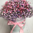 Коробка с цветами «Облако из гипсофилы»