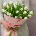 Букет из 25 белых тюльпанов