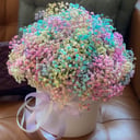 Шляпная коробка с цветами «Радужное облако XL» из гипсофил