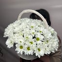 Ромашки в корзине из хризантем